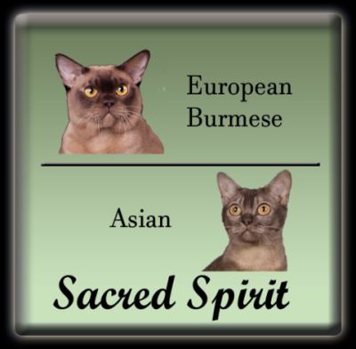 Sacred Spirit Cattery